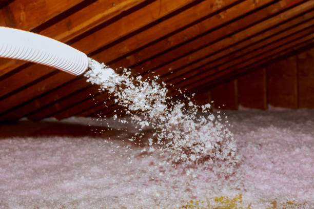 Best Attic Insulation Installation  in Osceola, AR