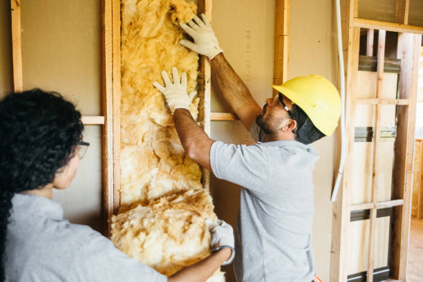 Best Cellulose Insulation  in Osceola, AR