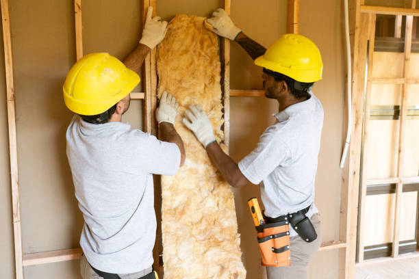 Best Insulation Contractor Near Me  in Osceola, AR