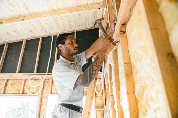Best Insulation for New Construction  in Osceola, AR