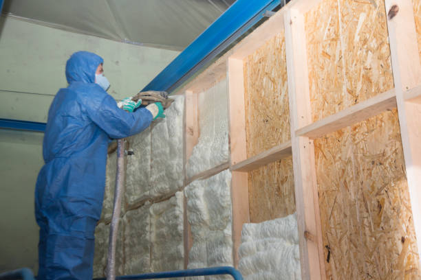 Best Professional Insulation Contractor  in Osceola, AR