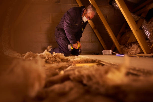 Best Soundproof Insulation Installation  in Osceola, AR